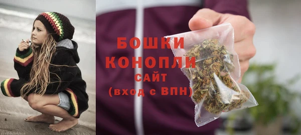 молекула духа Богданович