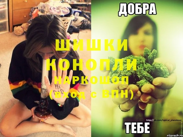 спиды Белокуриха