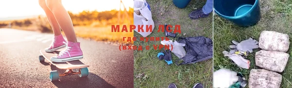 прущие грибы Богородск