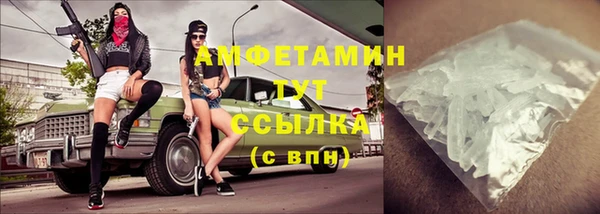молекула духа Богданович